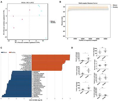 Changes in the Gut Microbiome Contribute to the Development of Behcet’s Disease via Adjuvant Effects